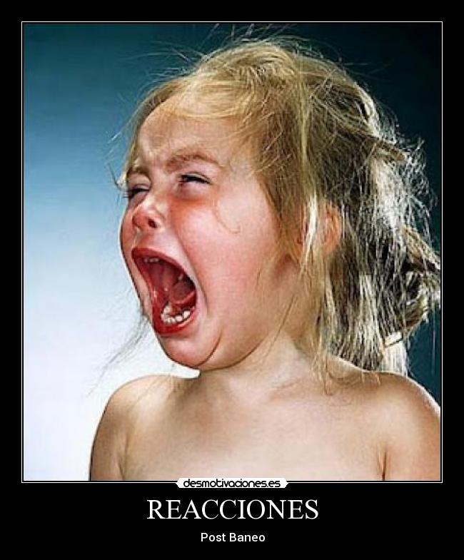 REACCIONES - Post Baneo