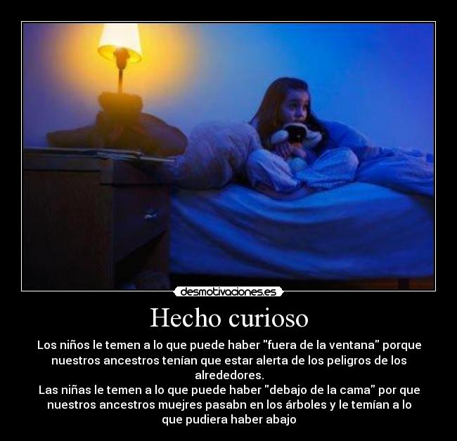 Hecho curioso - Los niños le temen a lo que puede haber fuera de la ventana porque
nuestros ancestros tenían que estar alerta de los peligros de los
alrededores.
Las niñas le temen a lo que puede haber debajo de la cama por que
nuestros ancestros muejres pasabn en los árboles y le temían a lo
que pudiera haber abajo