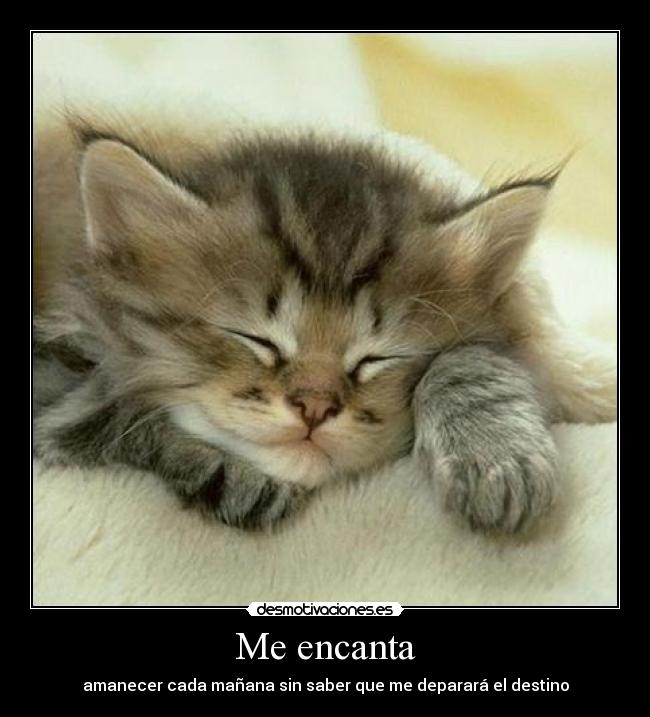 Me encanta - 