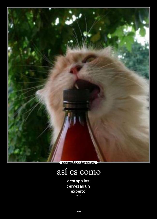 carteles gfg desmotivaciones