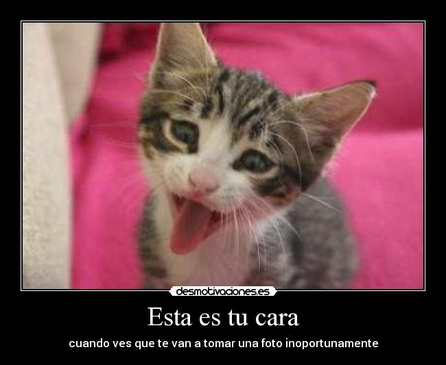 Esta es tu cara -