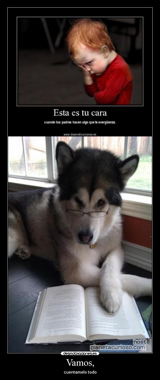 Vamos, - cuentamelo todo