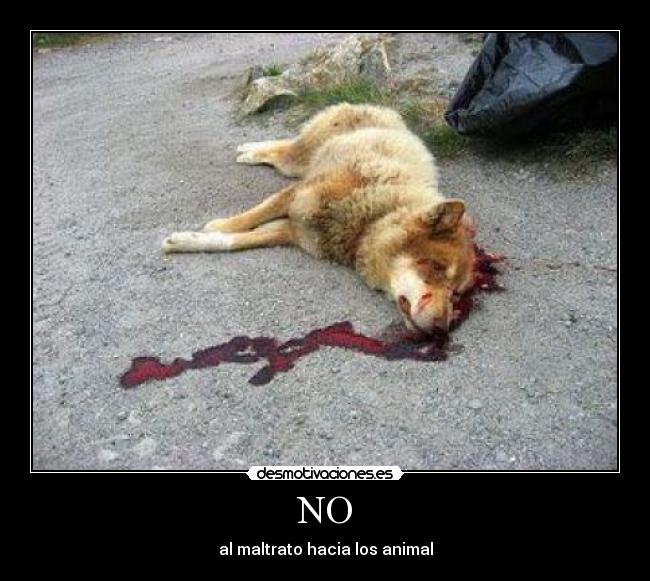NO - al maltrato hacia los animal