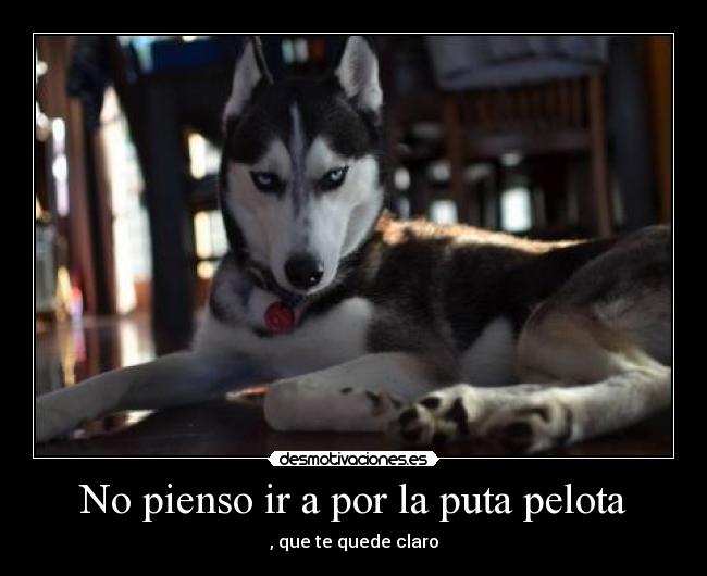 No pienso ir a por la puta pelota - , que te quede claro