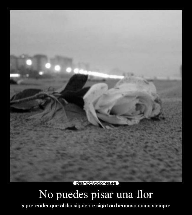 No puedes pisar una flor -