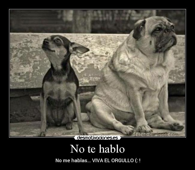 No te hablo -