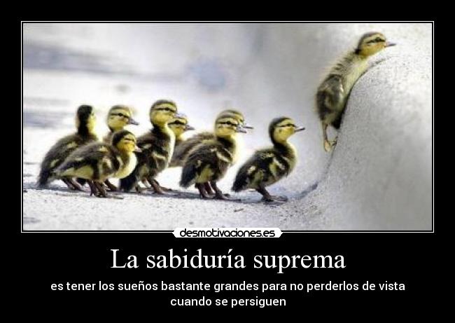 La sabiduría suprema - es tener los sueños bastante grandes para no perderlos de vista cuando se persiguen