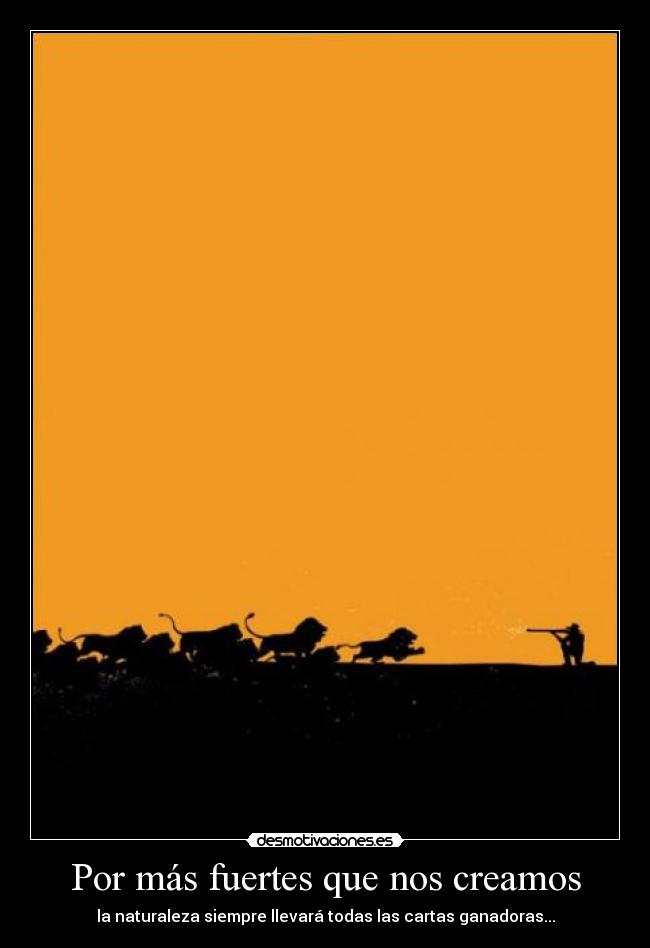 carteles mensaje humildad sean humildes los comeran los leones desmotivaciones