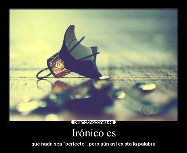 Irónico es - que nada sea perfecto, pero aún así exista la palabra.