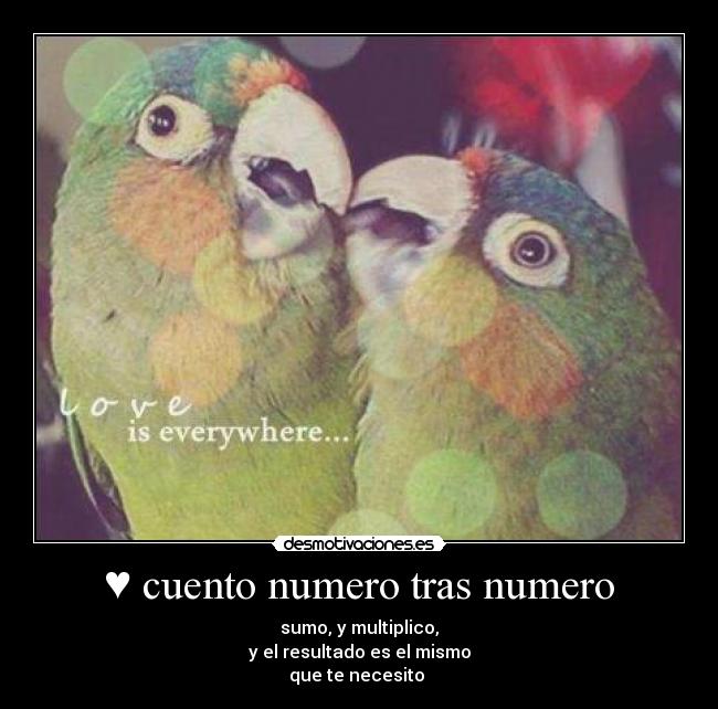 ♥ cuento numero tras numero - sumo, y multiplico,
y el resultado es el mismo
que te necesito ♥