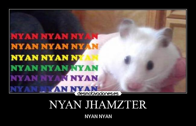NYAN JHAMZTER - NYAN NYAN