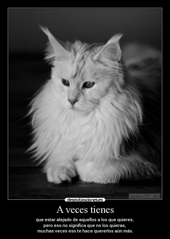 A veces tienes - que estar alejado de aquellos a los que quieres, 
pero eso no significa que no los quieras, 
muchas veces eso te hace quererlos aún más.
