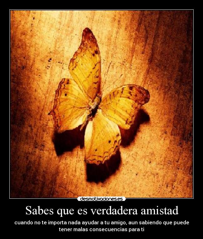 Sabes que es verdadera amistad -