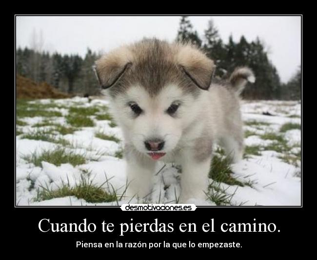 carteles sunglass esta puke resubido por troll que aman demasiado desmotivaciones