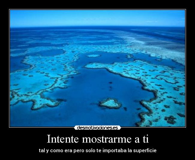 Intente mostrarme a ti - tal y como era pero solo te importaba la superficie