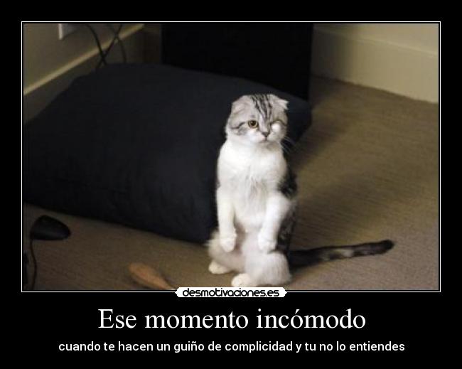 carteles gato desmotivaciones