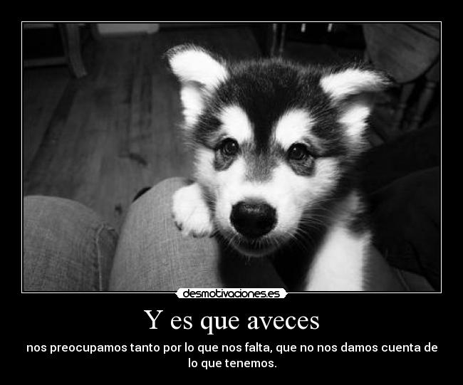 Y es que aveces - nos preocupamos tanto por lo que nos falta, que no nos damos cuenta de
lo que tenemos.