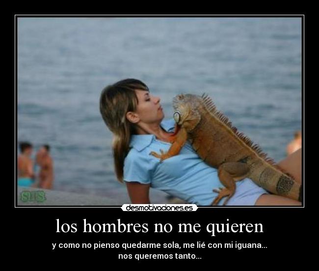 carteles iguana desmotivaciones