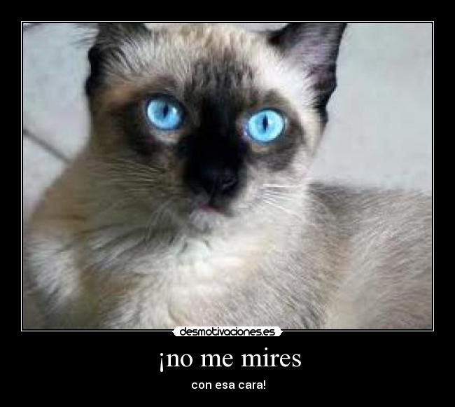 ¡no me mires -