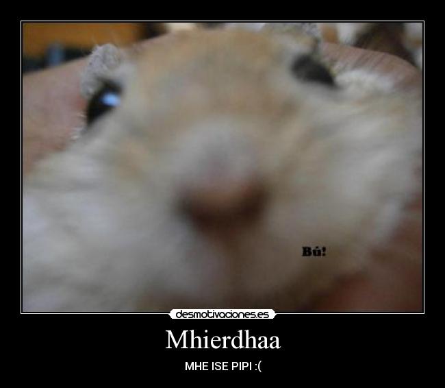 Mhierdhaa - 