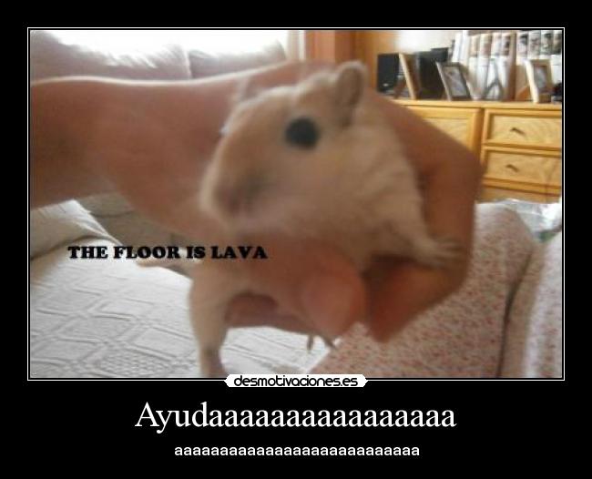 Ayudaaaaaaaaaaaaaaaa - aaaaaaaaaaaaaaaaaaaaaaaaaaa