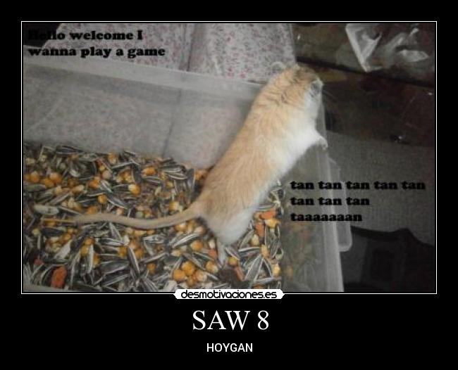 SAW 8 - HOYGAN