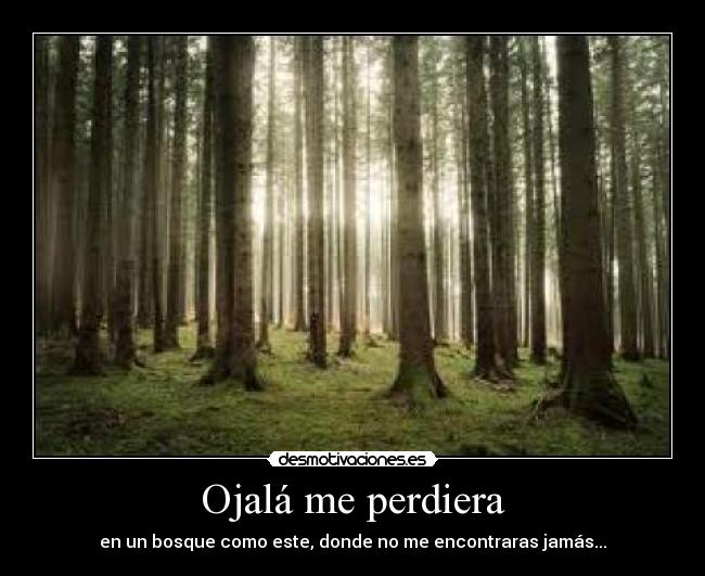Ojalá me perdiera - 