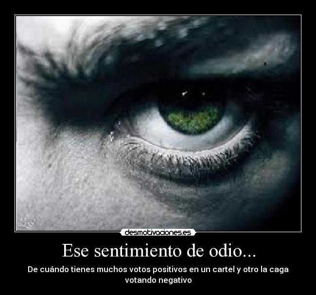 Ese sentimiento de odio... - De cuándo tienes muchos votos positivos en un cartel y otro la caga votando negativo