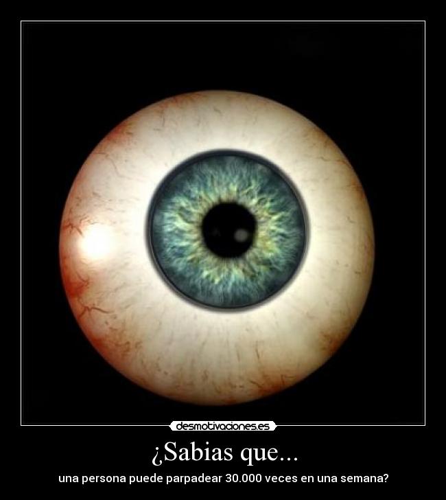 ¿Sabias que... -