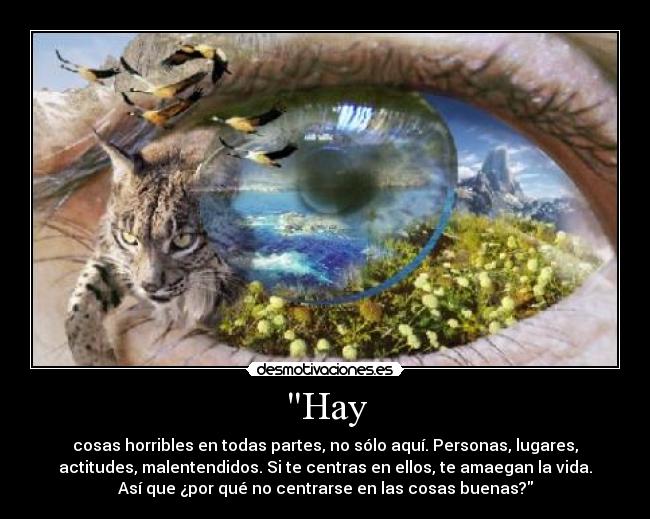 Hay - cosas horribles en todas partes, no sólo aquí. Personas, lugares,
actitudes, malentendidos. Si te centras en ellos, te amaegan la vida.
Así que ¿por qué no centrarse en las cosas buenas?