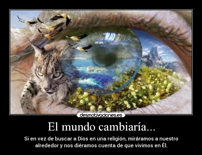 El mundo cambiaría... - Si en vez de buscar a Dios en una religión, miráramos a nuestro
alrededor y nos diéramos cuenta de que vivimos en Él.