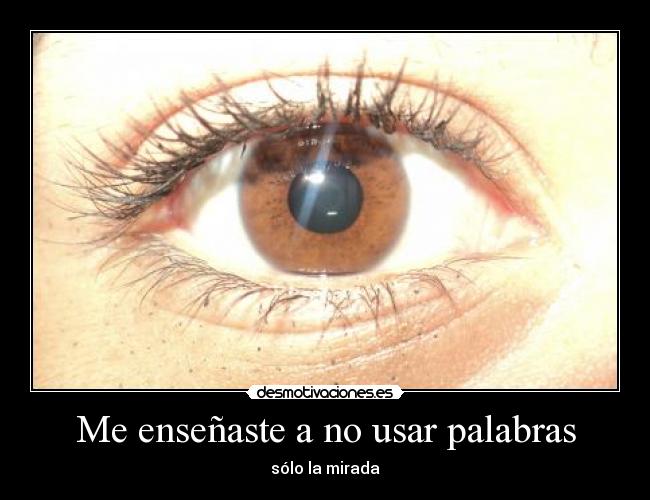 Me enseñaste a no usar palabras -