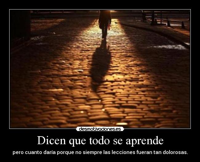 Dicen que todo se aprende -