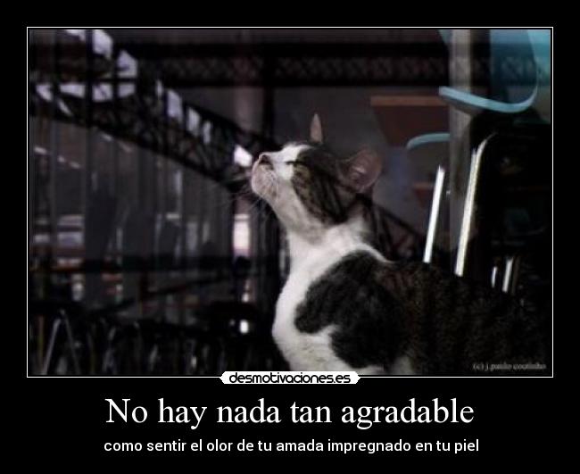 No hay nada tan agradable - 