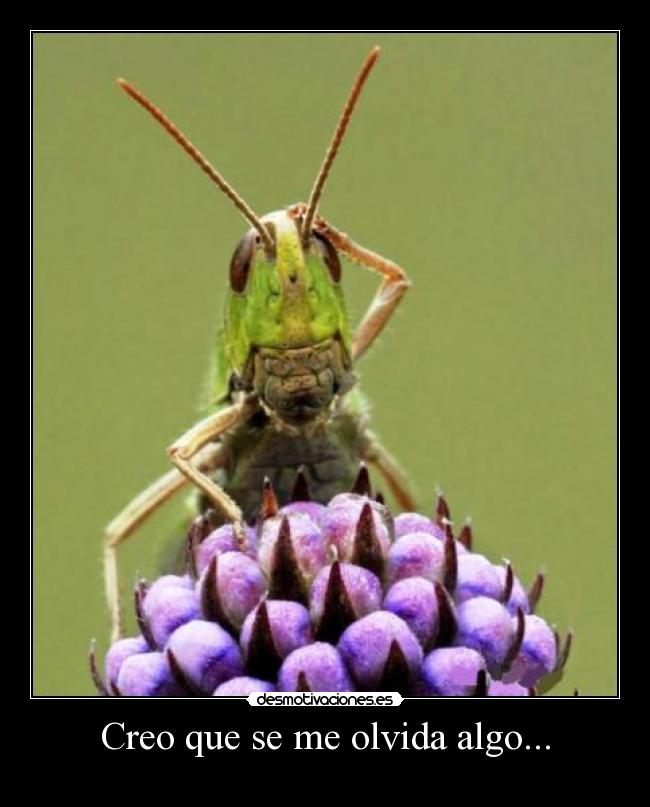 carteles jkajkajkajkajka molaxd desmotivaciones