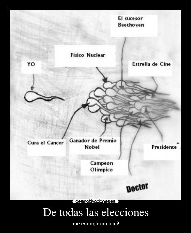 De todas las elecciones -