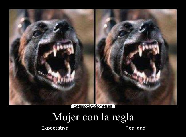 Mujer con la regla - Expectativa Realidad