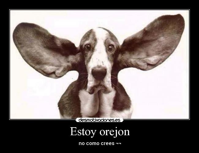 Estoy orejon - 