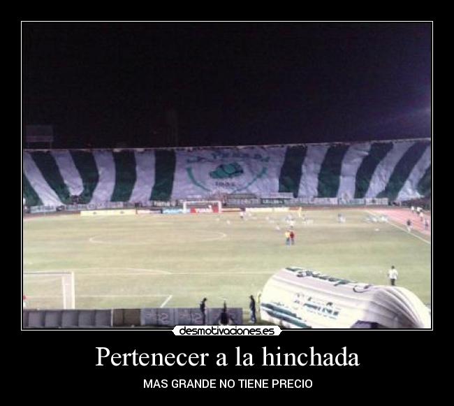 carteles oriente petrolerp desmotivaciones