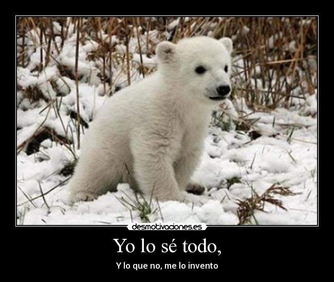 Yo lo sé todo, - 