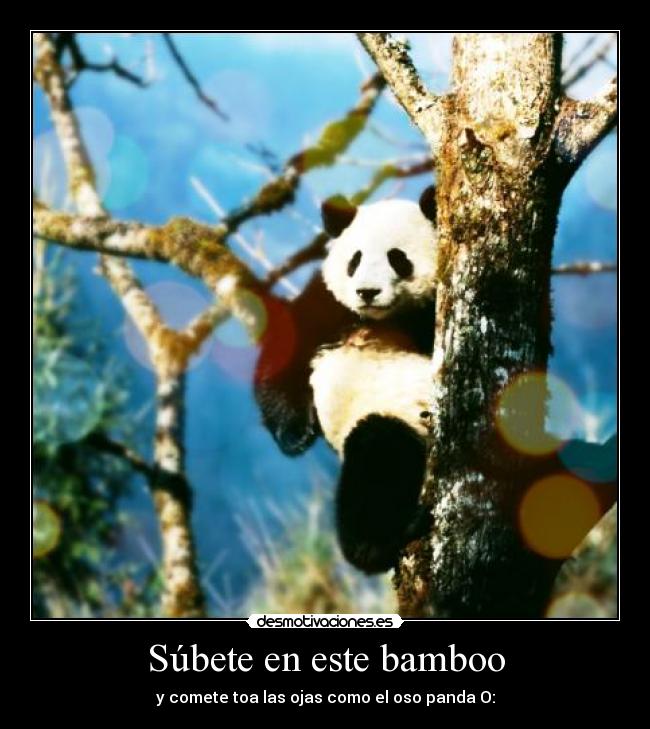 carteles subete este bamboo desmotivaciones