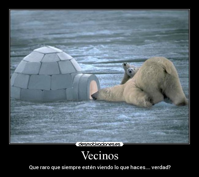 Vecinos - Que raro que siempre estén viendo lo que haces.... verdad?