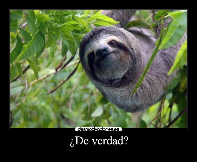 ¿De verdad? - 