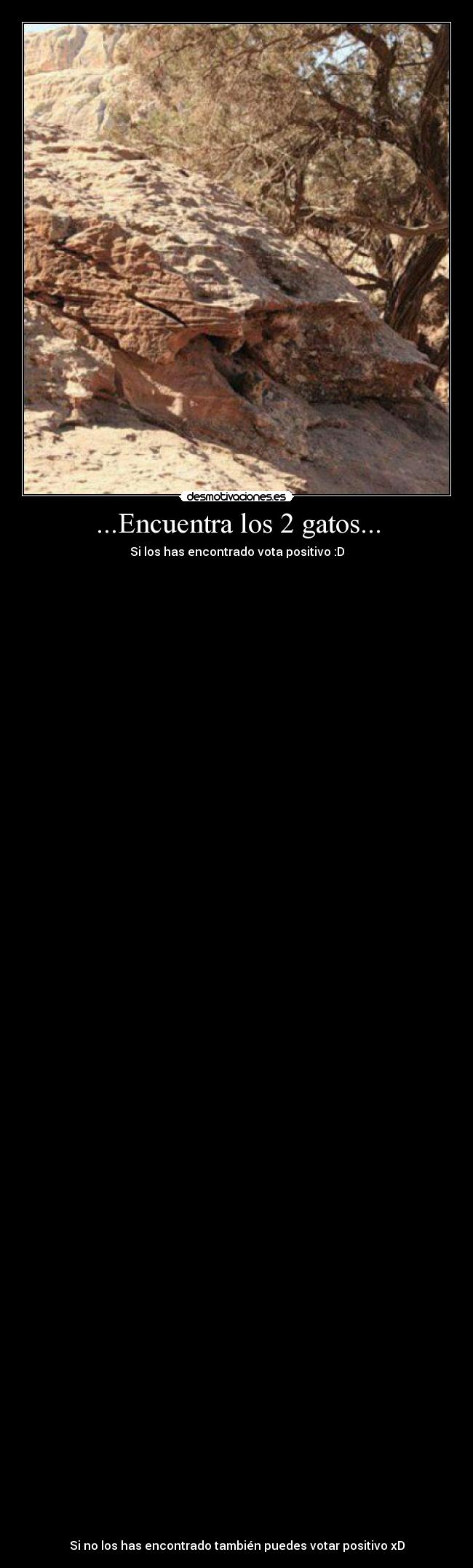 carteles gatos encuentralos vota positivo desmotivaciones