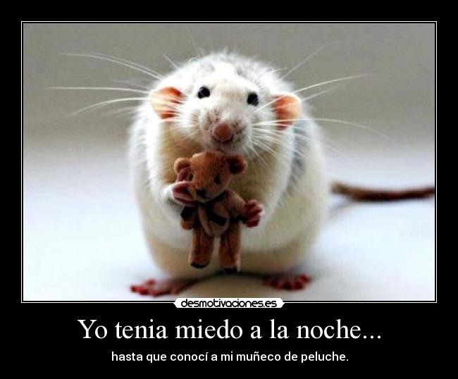 Yo tenia miedo a la noche... - hasta que conocí a mi muñeco de peluche.
