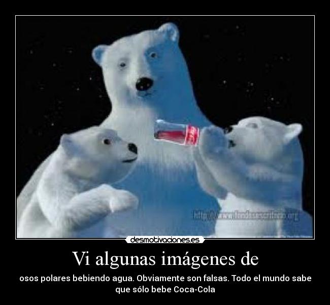 Vi algunas imágenes de -