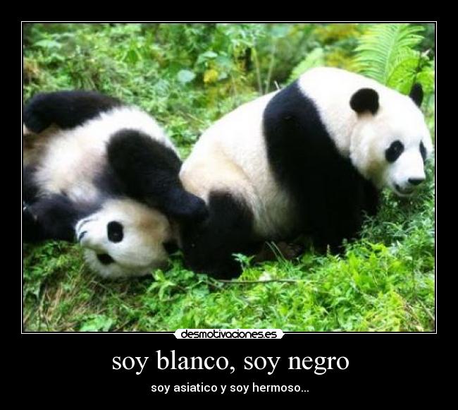 soy blanco, soy negro -