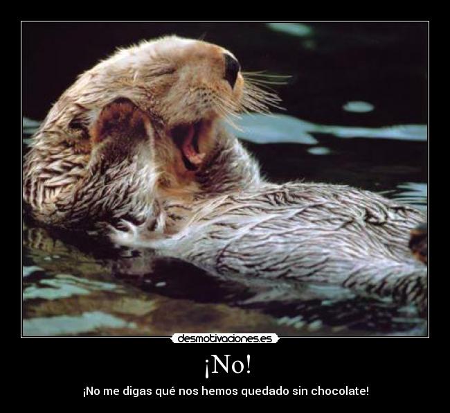 ¡No! -
