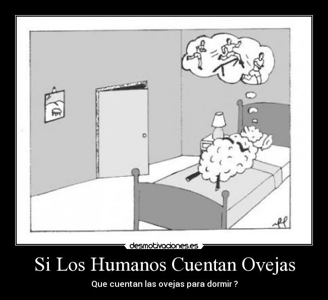 Si Los Humanos Cuentan Ovejas - Que cuentan las ovejas para dormir ?