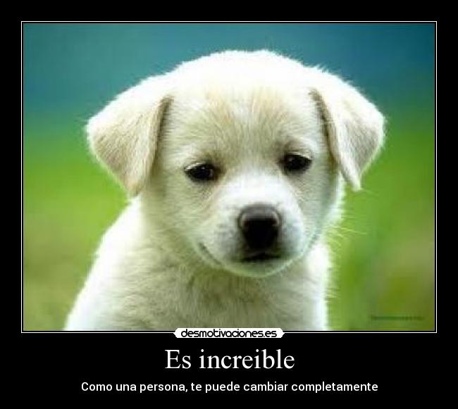Es increible -